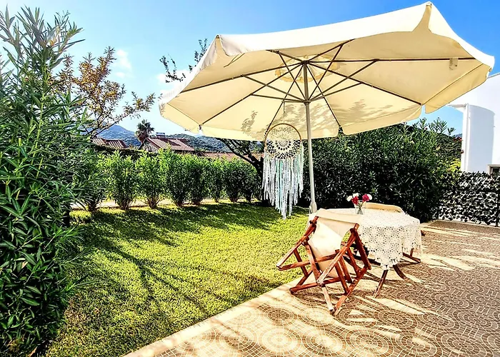 Ktima Amitsa Сарти